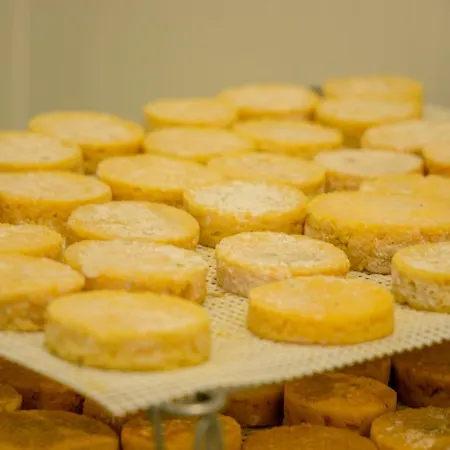 A Queijaria 招待所 Barreira (Norte)