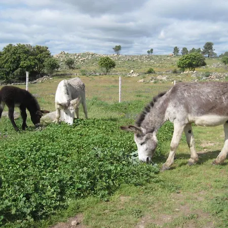 A Queijaria Casa de hóspedes 3*