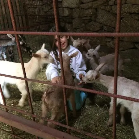 A Queijaria 招待所 Barreira (Norte)