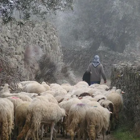 招待所 A Queijaria Barreira (Norte)