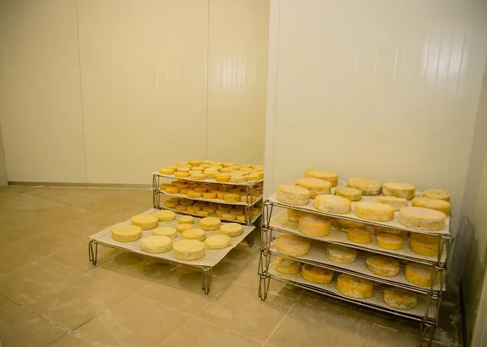 A Queijaria Barreira (Norte)