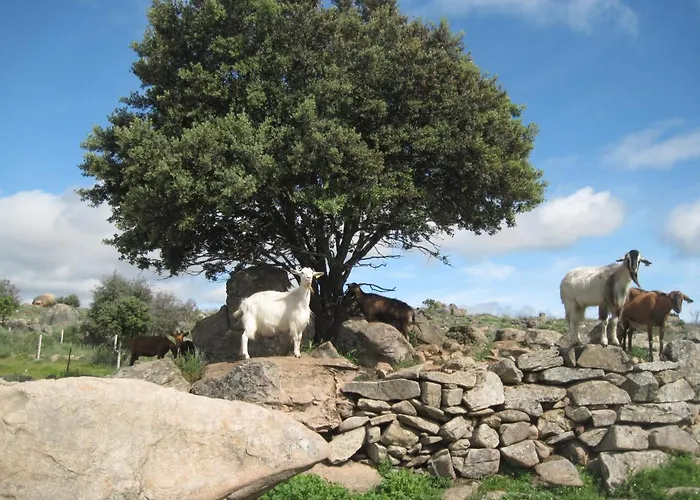 A Queijaria Gasthof Barreira (Norte)